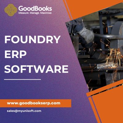 Foundry erp software
